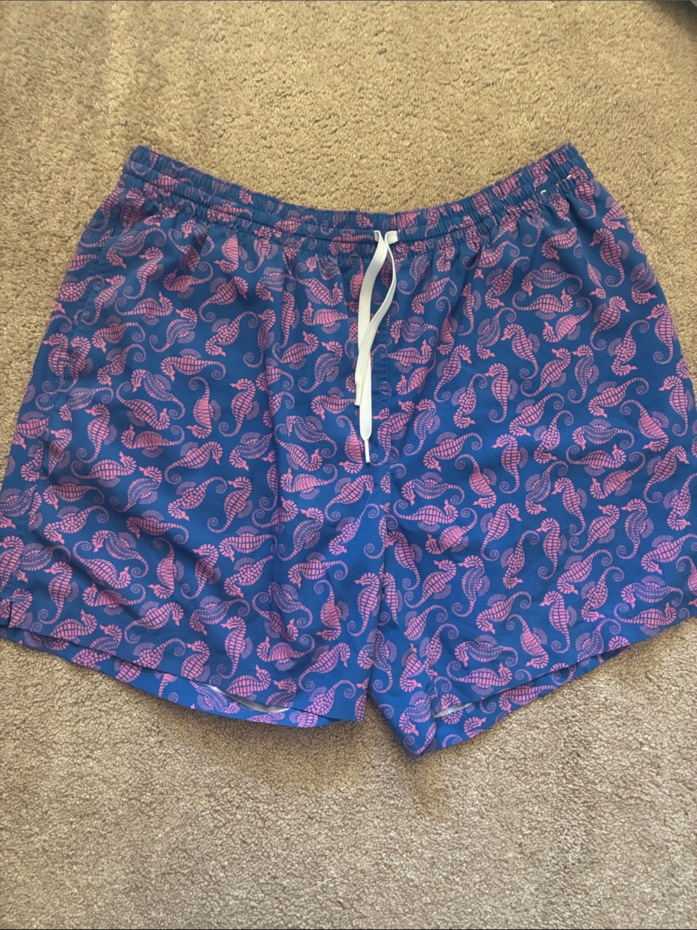 Chubbies The Sea Trotters Swim Trunks Blue Pink Seahorse Mens XXL